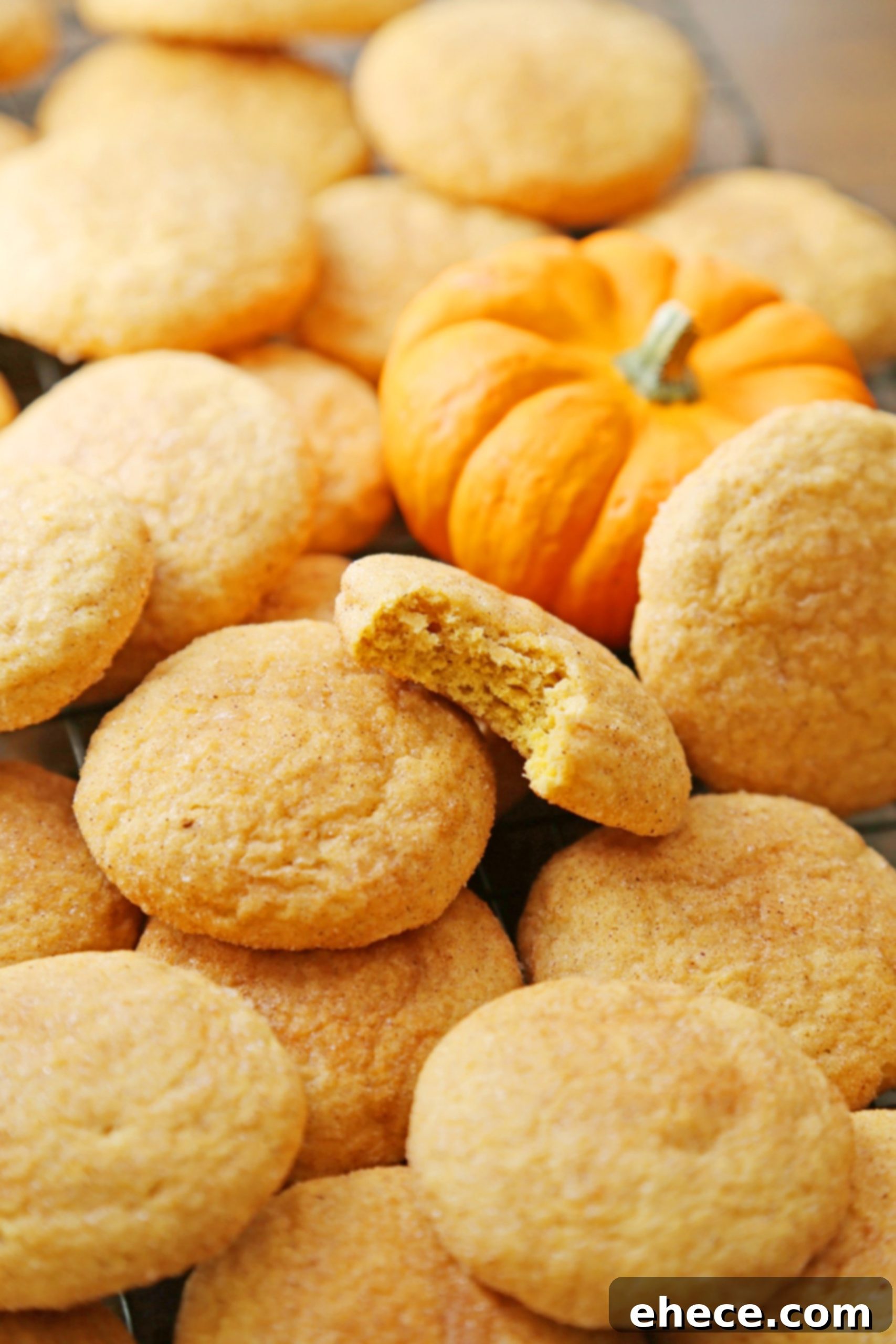 Close-up of baked Pumpkin Snickerdoodles on a cooling rack, showing their soft texture and cinnamon sugar coating.