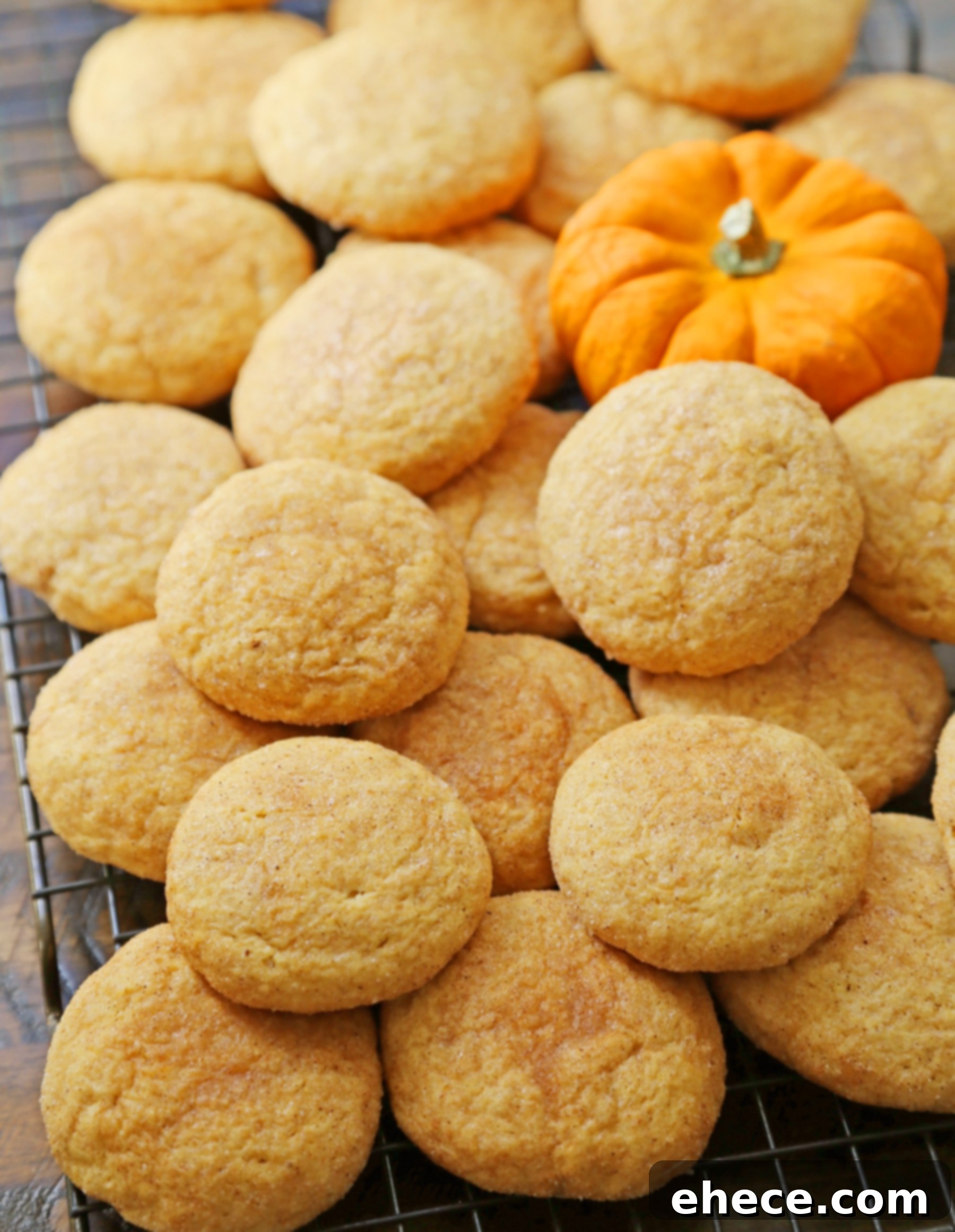 Close-up of a single Pumpkin Snickerdoodle cookie, highlighting its crinkled cinnamon-sugar surface.