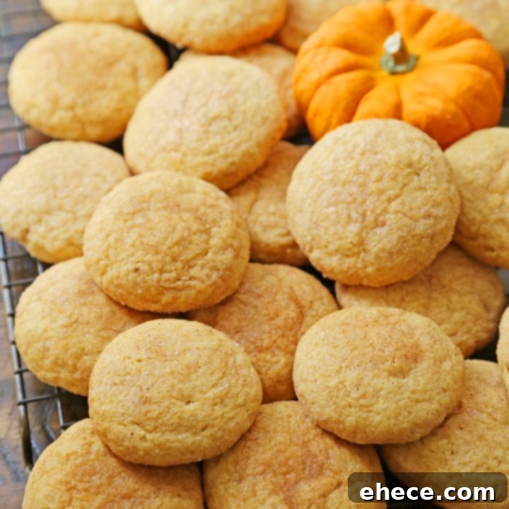 Pumpkin Snickerdoodles on a plate, ready to be served.