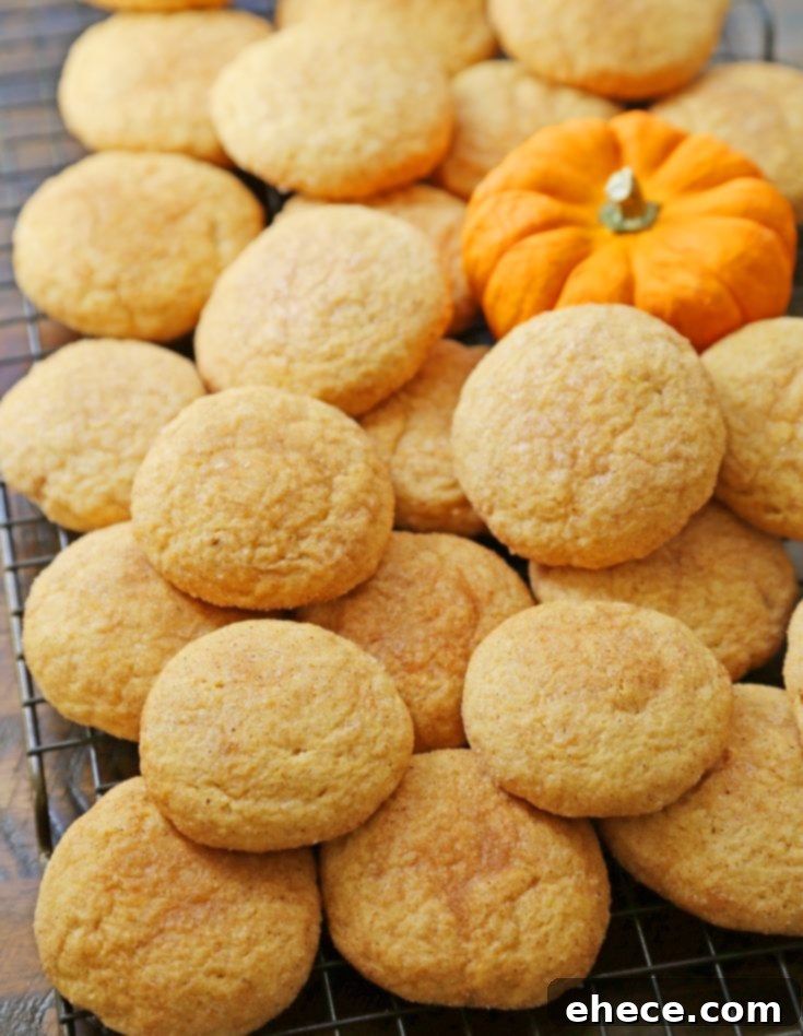 Another image of Pumpkin Snickerdoodles on a baking sheet.