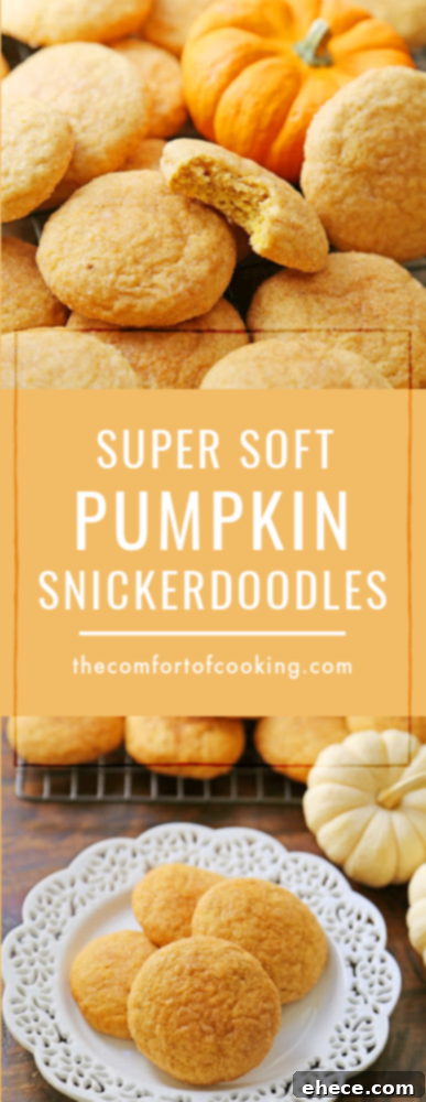 Promotional graphic for Pumpkin Snickerdoodles.