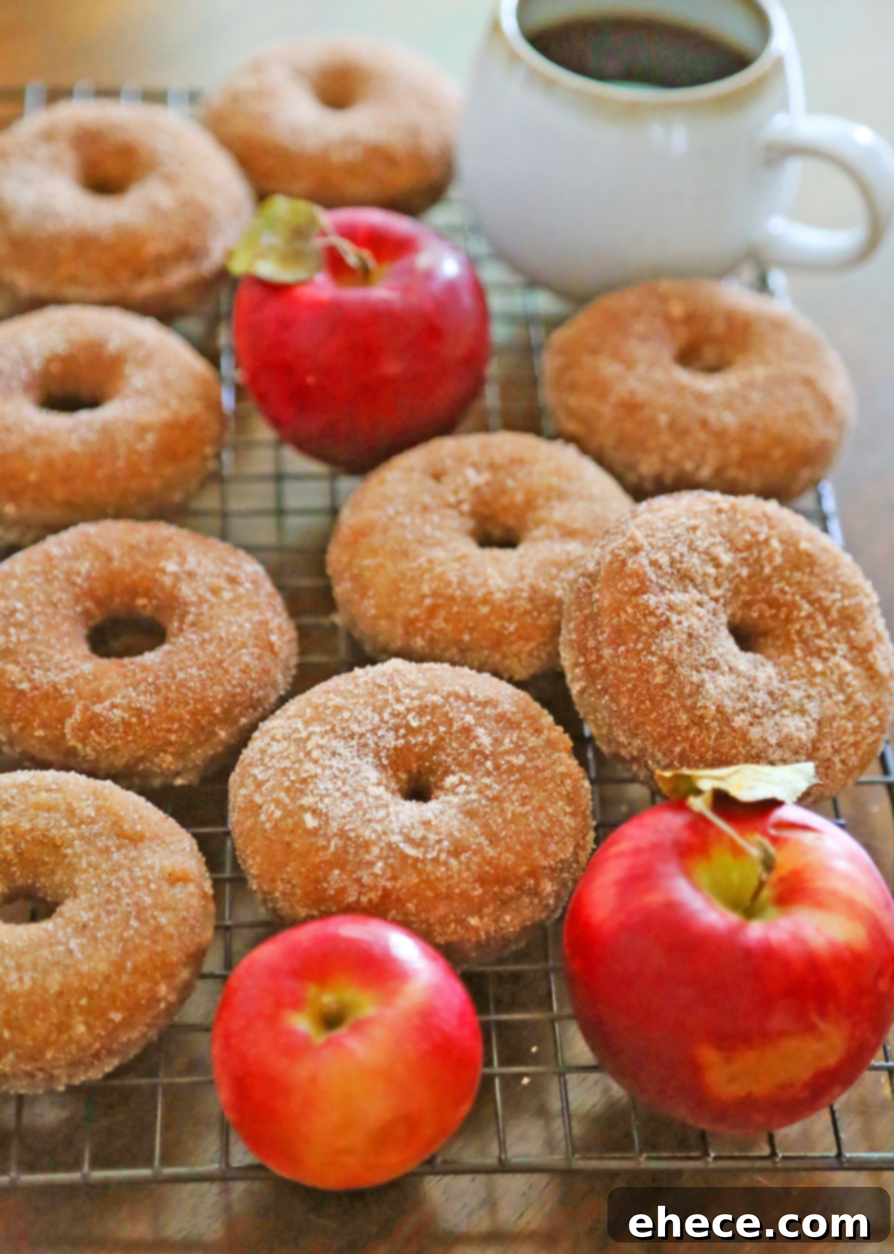 Freshly baked apple cider donuts on a cooling rack, dusted with cinnamon sugar, ready to be enjoyed.