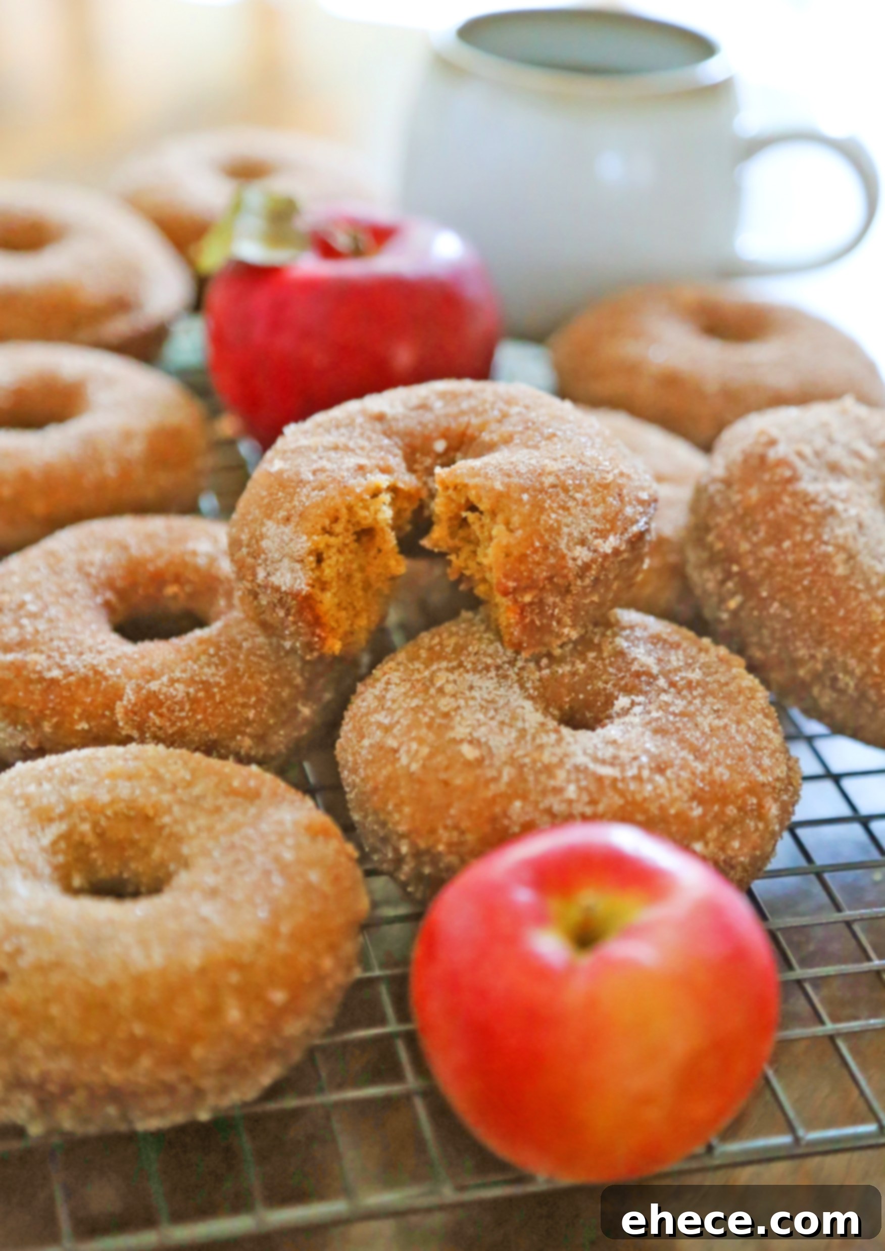 Close-up of baked apple cider donuts, showing their golden brown texture and generous cinnamon-sugar coating.