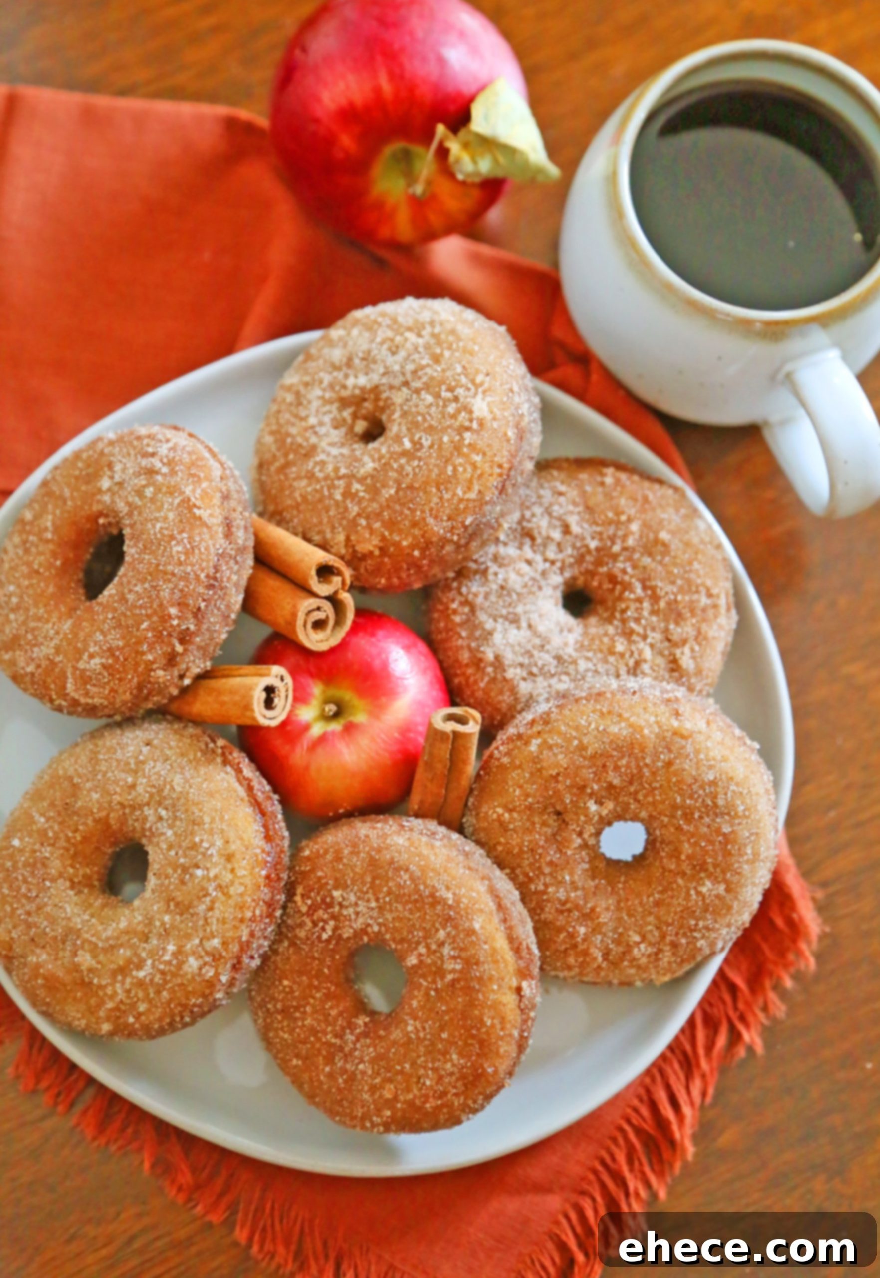 Assorted freshly baked apple cider donuts with different toppings, showcasing their inviting appearance.