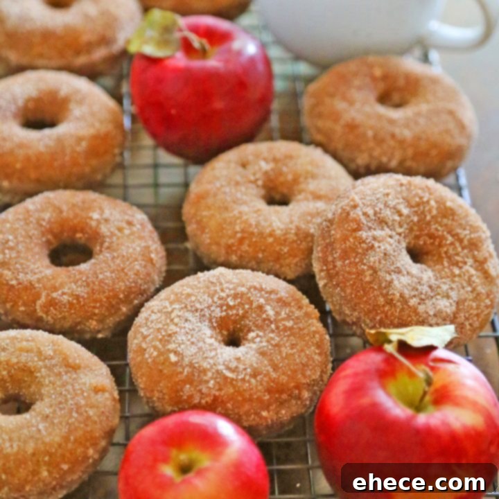 Hero shot of Baked Apple Cider Donuts, glistening with cinnamon sugar.