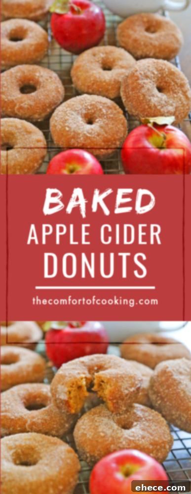 Decorative image related to apple cider donuts.