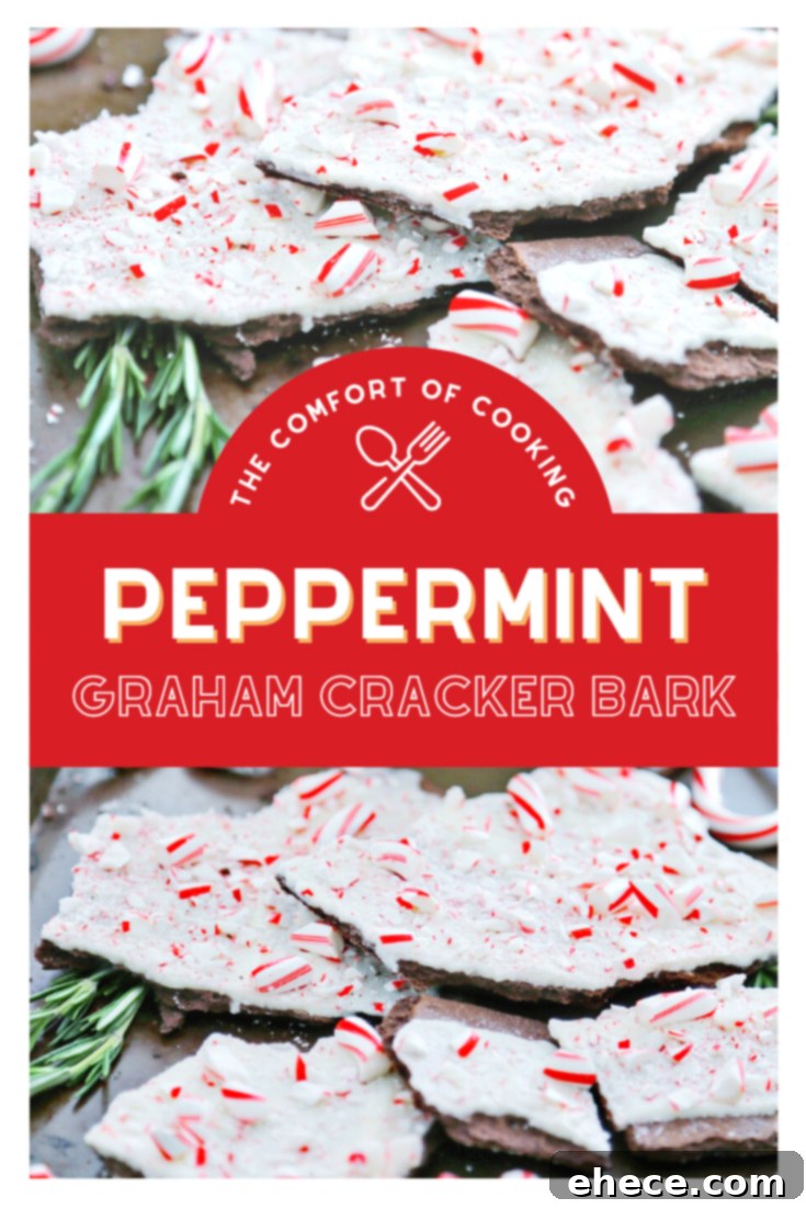 Close-up of a broken piece of Peppermint Graham Cracker Bark