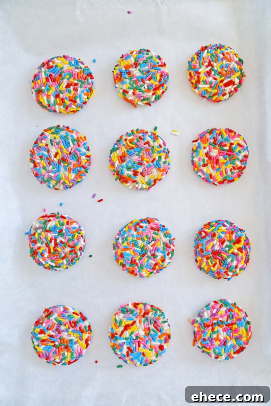 Another view of freshly baked Rainbow Sprinkle Cookies