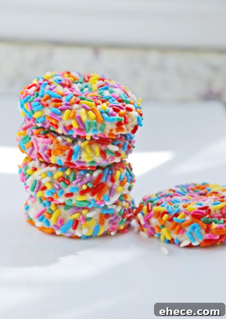 Rainbow Sprinkle Cookies