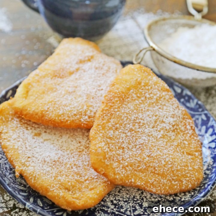 County Fair Fried Dough with powdered sugar