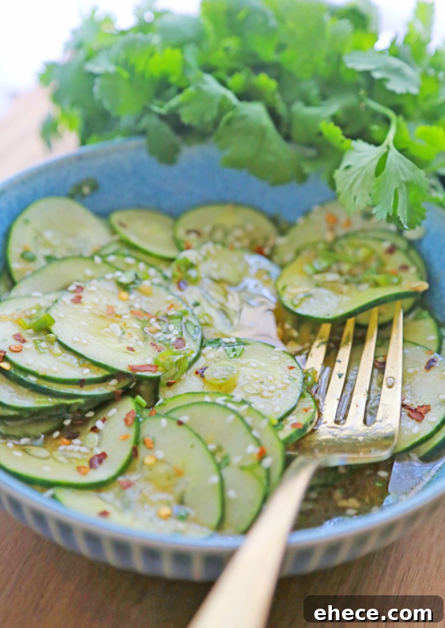 Refreshing Asian Cucumber Crunch 4 A serving of Asian Cucumber Salad ready to be enjoyed.