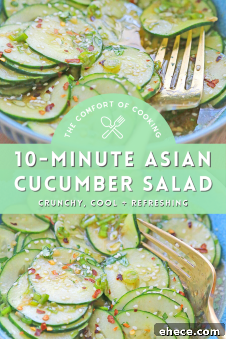 Refreshing Asian Cucumber Crunch 7 A delicious plate featuring the Asian Cucumber Salad as a vibrant side.