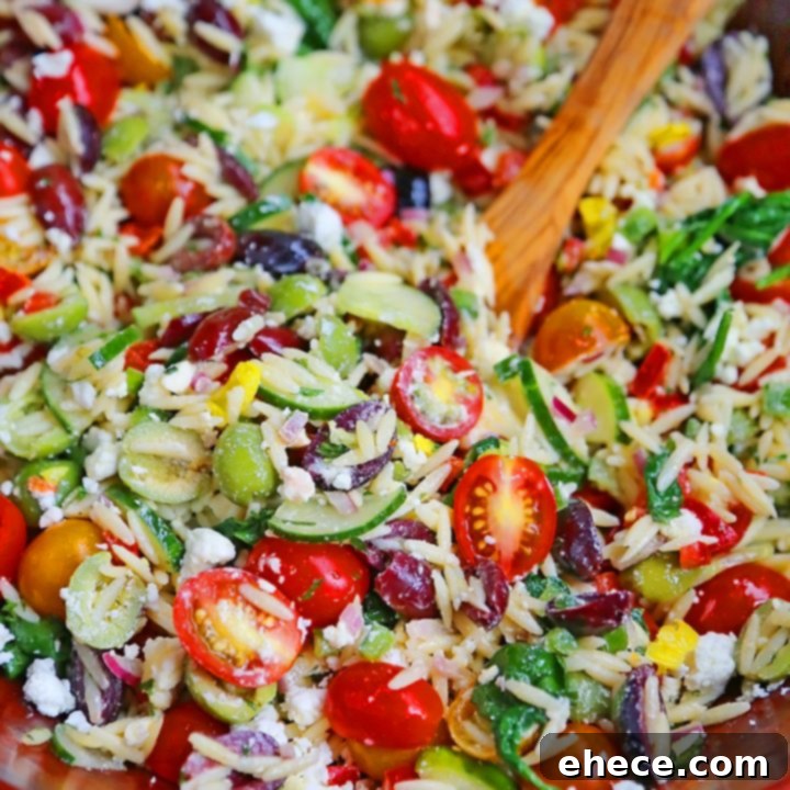 Mediterranean Sunshine Orzo Salad 6 Mediterranean Orzo Salad