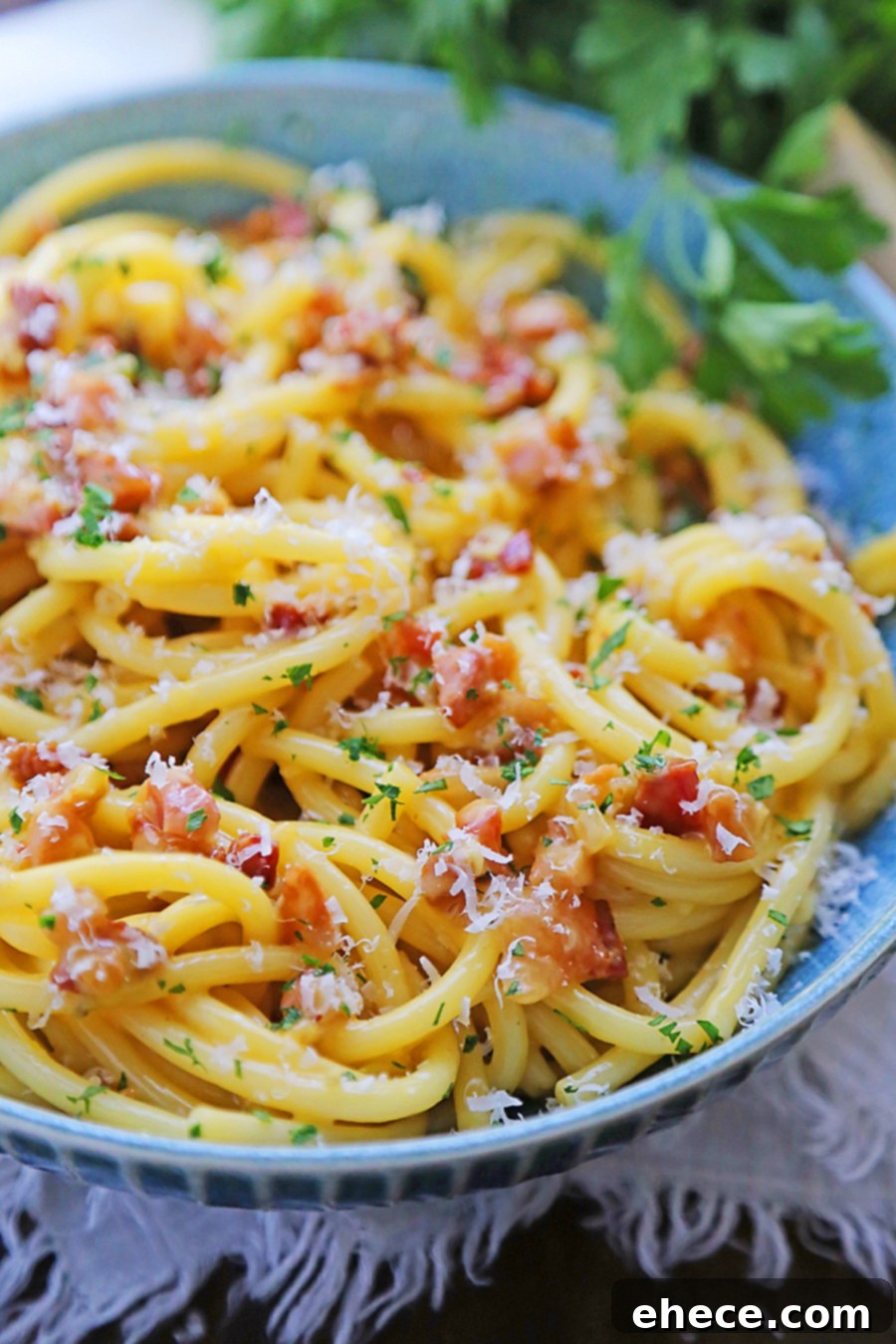 A beautifully presented bowl of Bucatini Carbonara garnished with fresh parsley and pepper