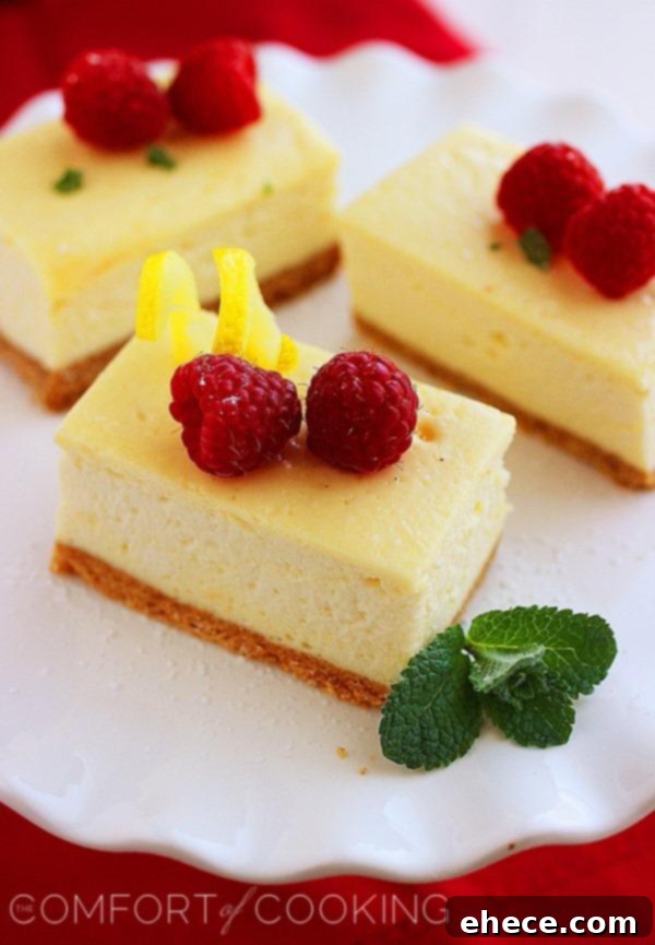 Tangy Lemon Cheesecake Bars 4 A plate of two lemon cheesecake bars garnished with fresh raspberries, blueberries, and a mint sprig, ready for serving.
