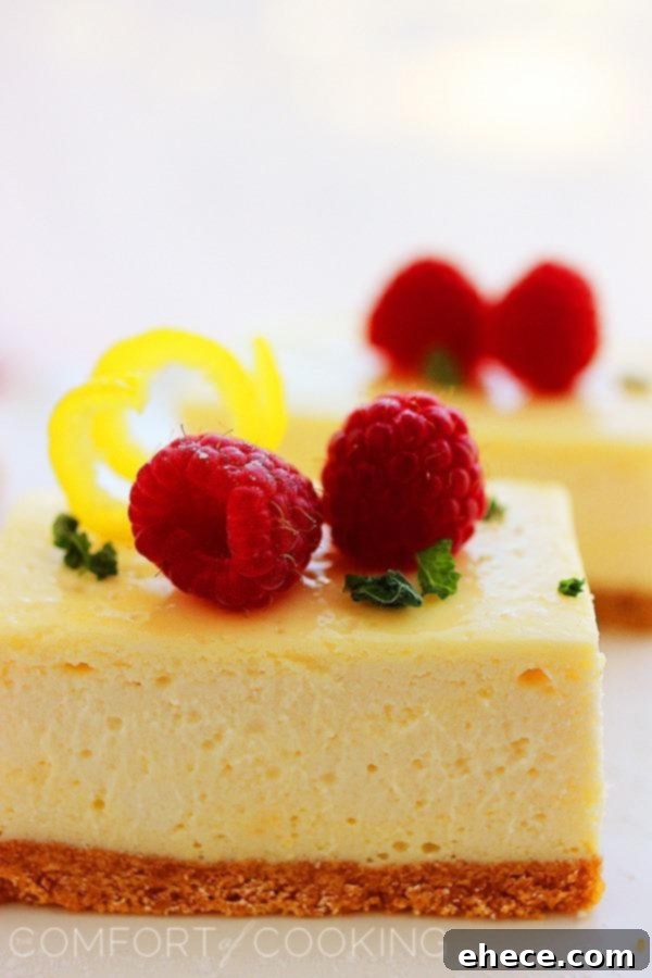 Tangy Lemon Cheesecake Bars 5 Overhead shot of an entire pan of baked and chilled lemon cheesecake bars, beautifully garnished with mixed fresh berries and lemon slices.