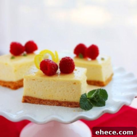 Tangy Lemon Cheesecake Bars 6 A beautifully presented lemon cheesecake bar, garnished with fresh raspberries and a small mint leaf, ready to be enjoyed.