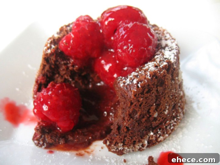 Molten Chocolate Cake with Ice Cream