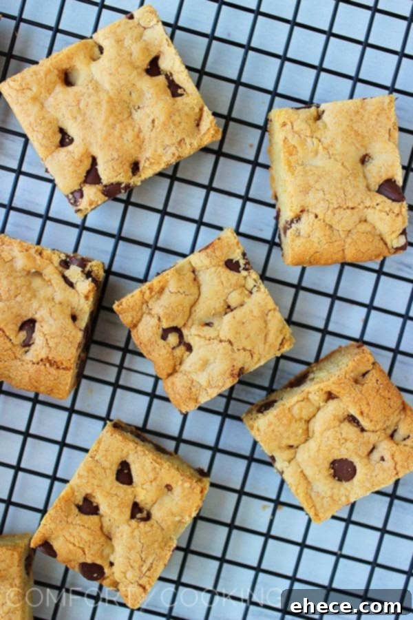 Close-up of a pan of freshly baked, soft and chewy chocolate chip cookie bars.