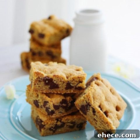 Soft ‘n Chewy Chocolate Chip Cookie Bars
