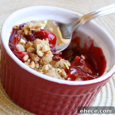 Baked Cherry Delight 2 Delicious Homemade Cherry Crisp