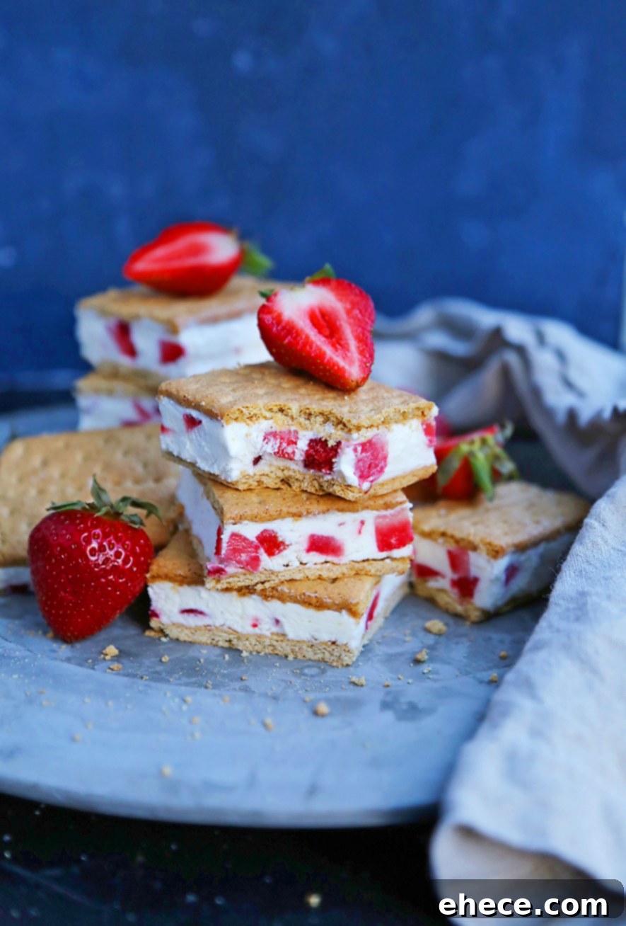 Strawberry Frozen Yogurt Graham Cracker Treats