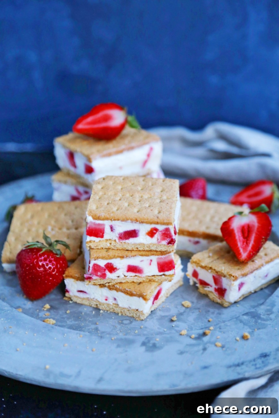Strawberry Frozen Yogurt Graham Cracker Treats Close Up