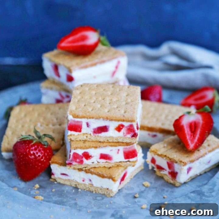 Strawberry Frozen Yogurt Graham Cracker Treats