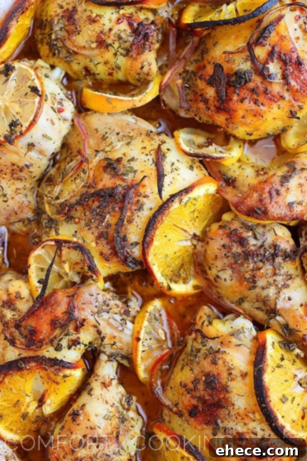 Marinated chicken pieces nestled with fresh lemon and orange slices before roasting.
