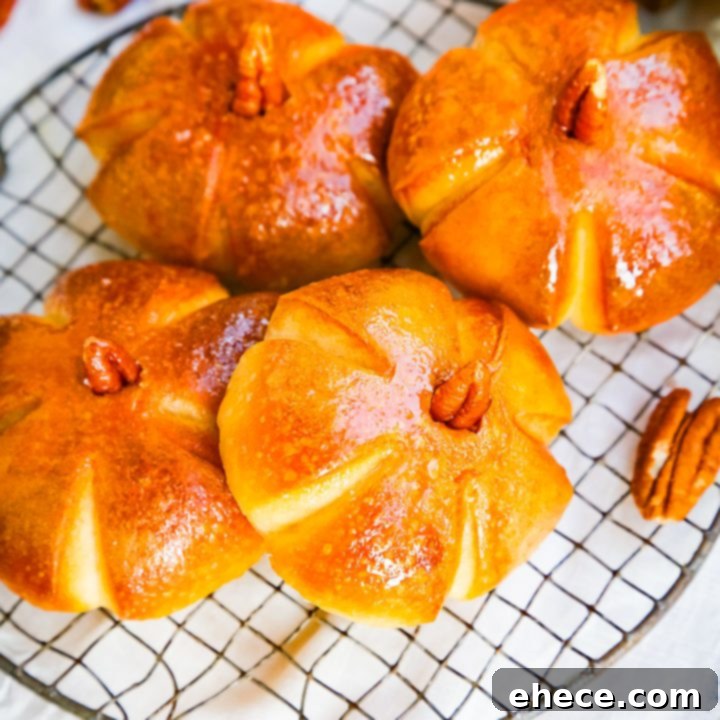 Pumpkin Dinner Rolls - Main Recipe Image