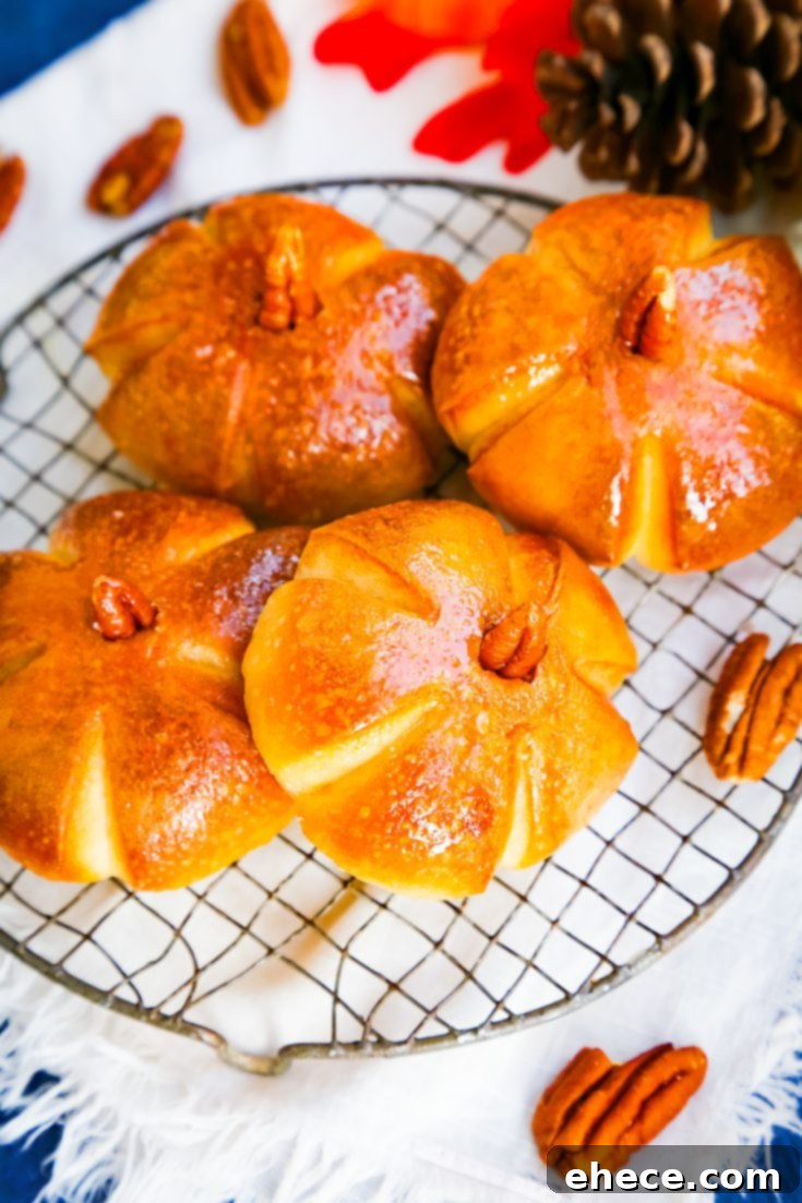 Pumpkin Dinner Rolls - Footer Image