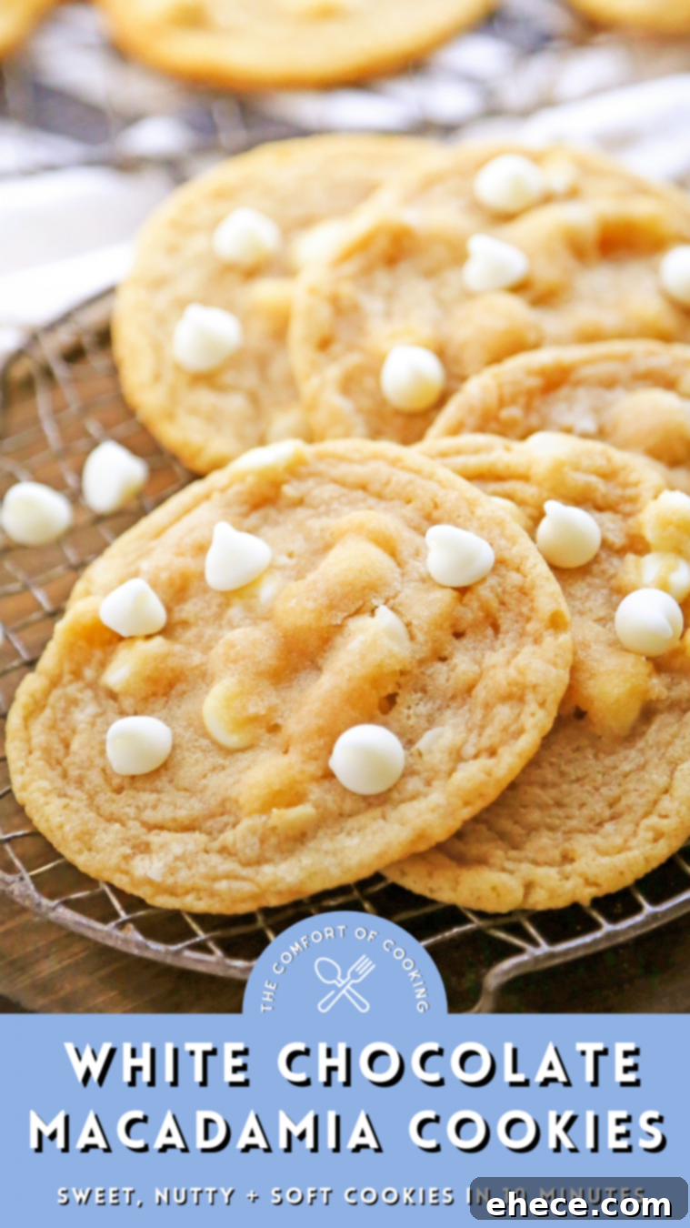 Irresistible White Chocolate Macadamia Nut Cookies 6 Close up of a single white chocolate macadamia nut cookie