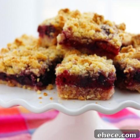 Mixed Berry Streusel Bars 5 Mixed Berry Crumble Bars with fresh berries and a golden crust.