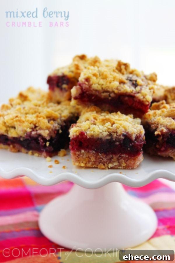 A final shot of Mixed Berry Crumble Bars, showcasing the delicious texture and inviting presentation.