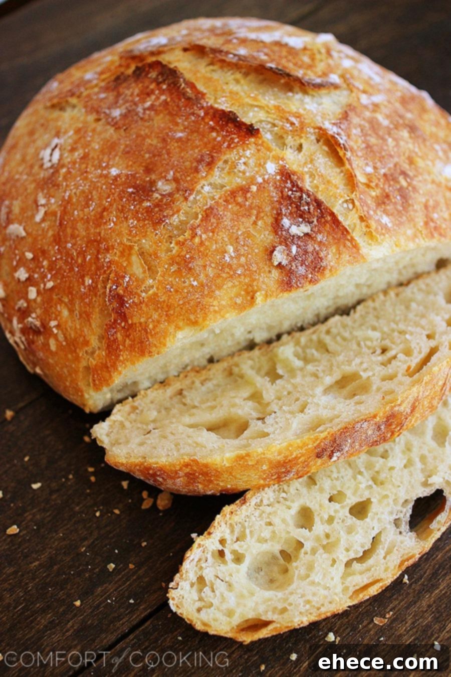 Close-up of Warm Tomato & Mozzarella Bruschetta, showing melted cheese and fresh basil.
