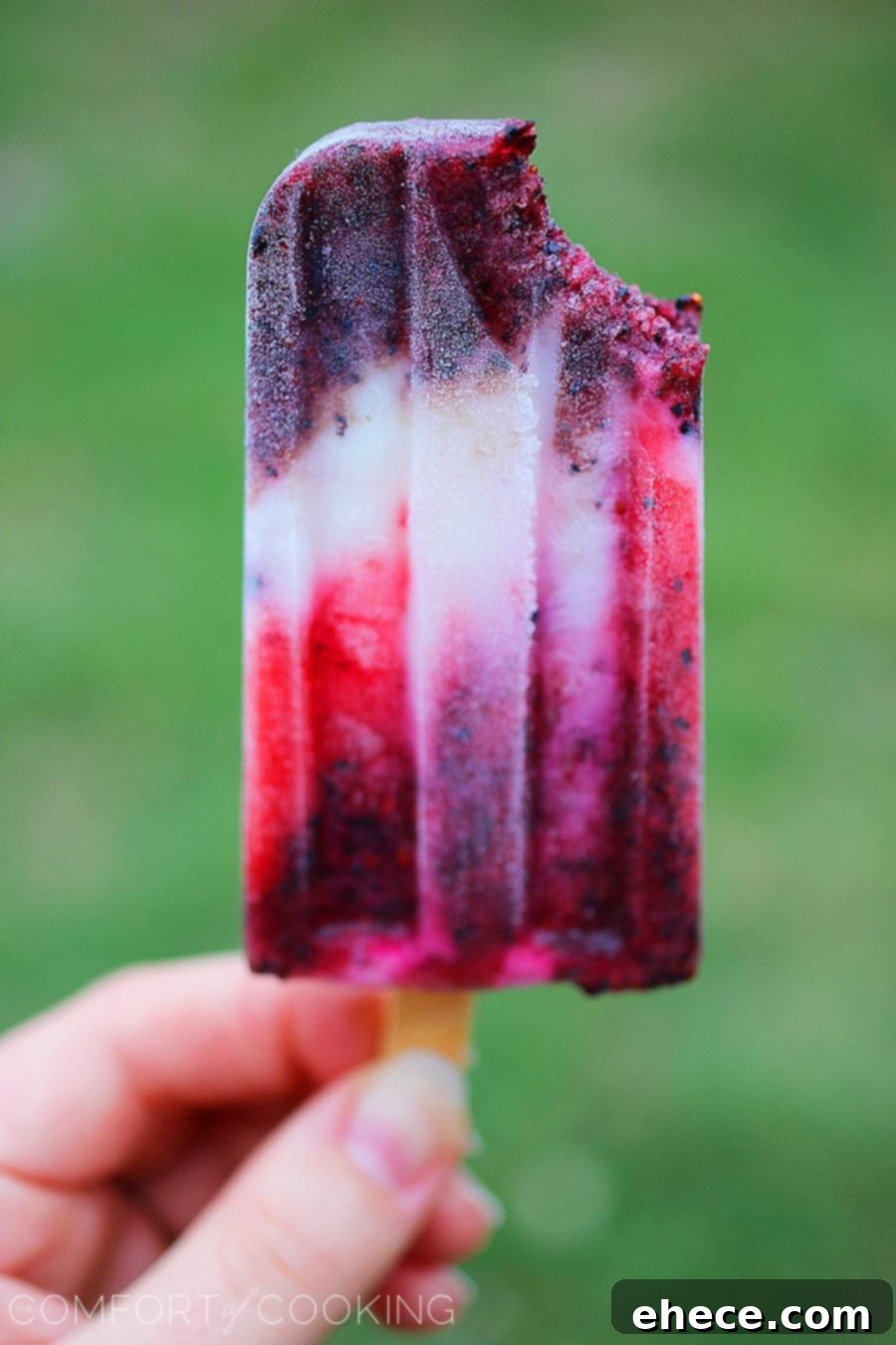 Close-up of a Firecracker Berry Frozen Yogurt Pop, showcasing the beautiful layered red, white, and blue colors from strawberries, yogurt, and blueberries.