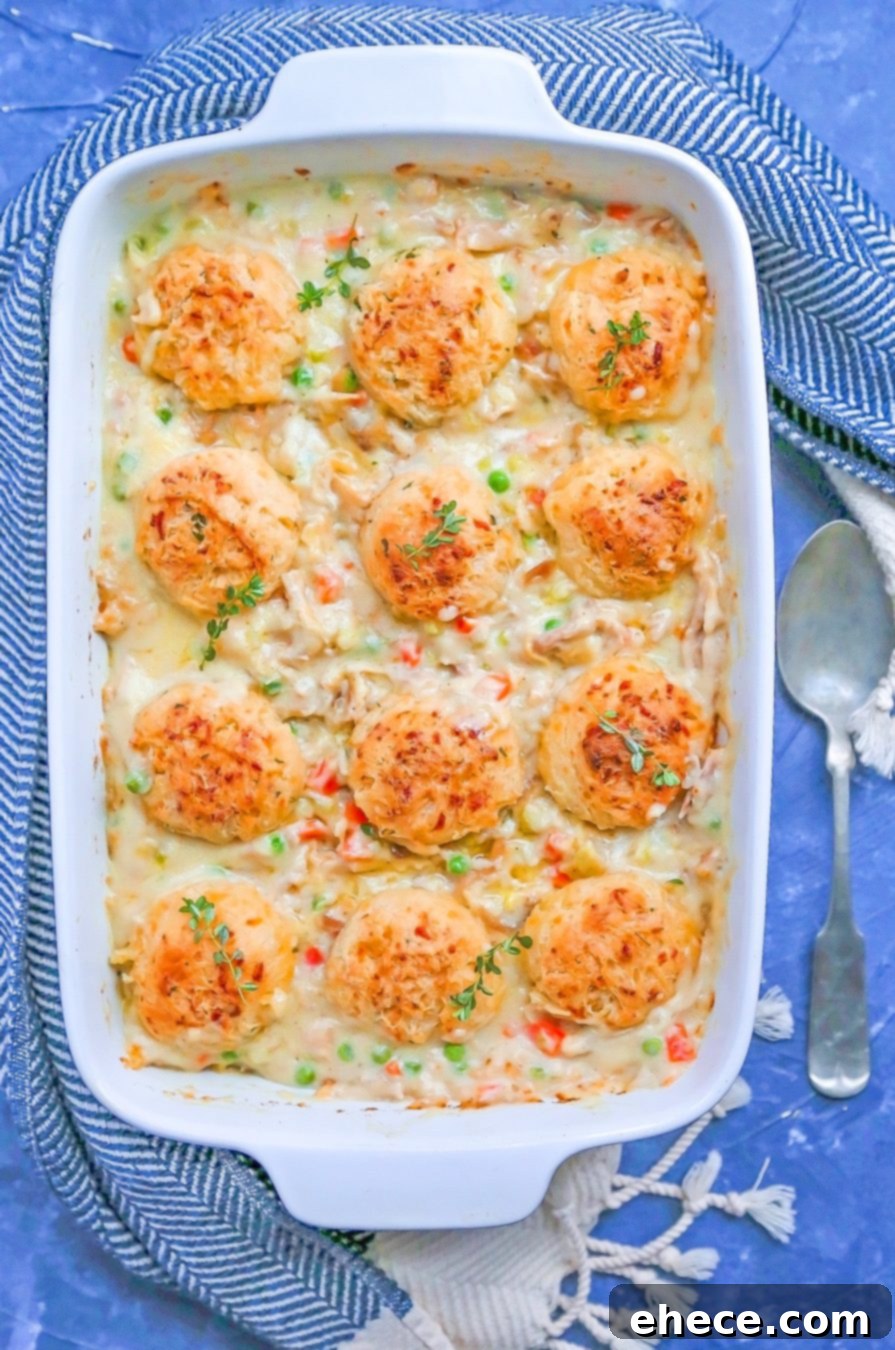 Creamy Chicken Pot Pie topped with golden Cheddar-Chive Biscuits, ready to be served