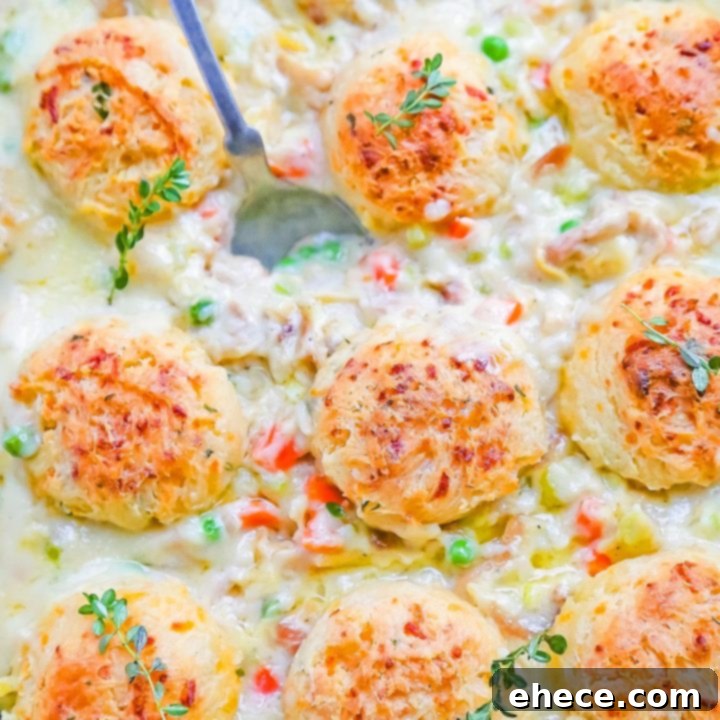 Chicken Pot Pie with Cheddar Chive Biscuits