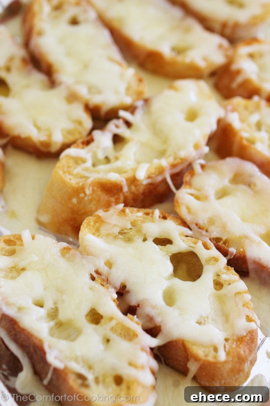 Vibrant Ratatouille Bites 4 Prepared ratatouille crostini, garnished with fresh herbs, ready to be served.