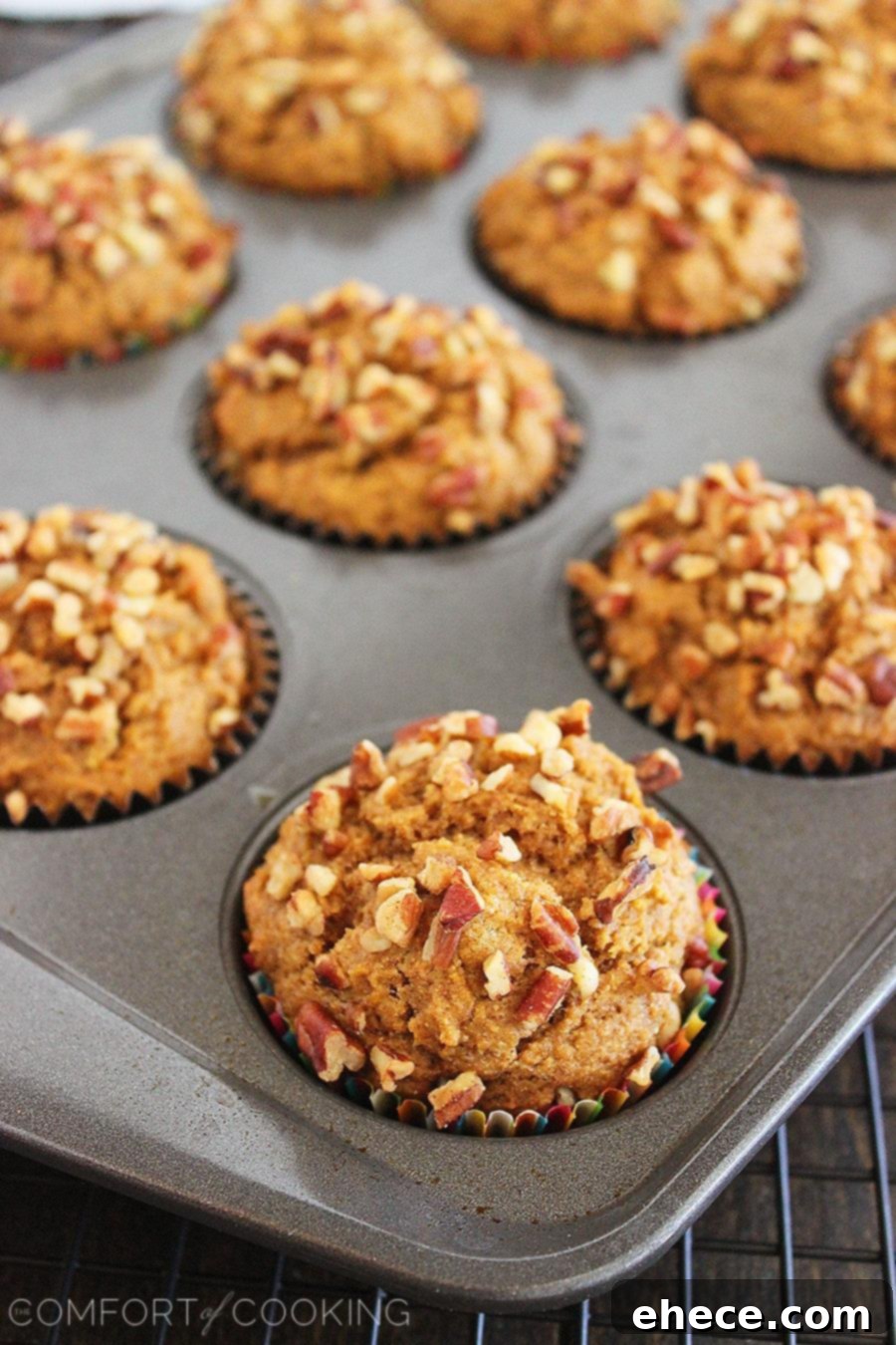 Tender Whole Grain Apple Pumpkin Delights 3 Golden-brown Whole Wheat Apple-Pumpkin Muffins cooling on a wire rack, showing their delightful texture and inviting aroma.
