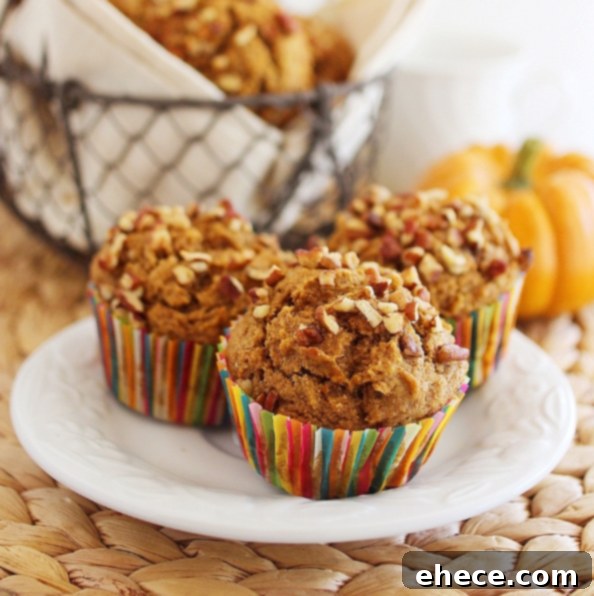 Freshly baked whole wheat apple-pumpkin muffins on a rustic wooden board.