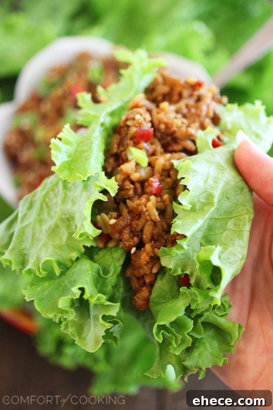 Ingredients for Slow Cooker Asian Chicken Lettuce Wraps, showcasing fresh vegetables and chicken.