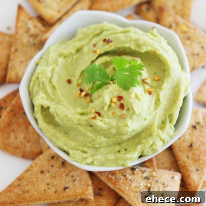 Avocado Hummus + Whole Wheat Pita Chips