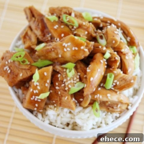 A delicious bowl of slow cooker teriyaki chicken, garnished with sesame seeds and fresh scallions, ready to be served.