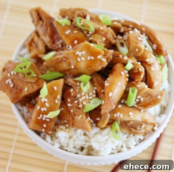 A final close-up image of the slow cooker teriyaki chicken, showing its delicious texture and rich sauce, enticing viewers to try the recipe.