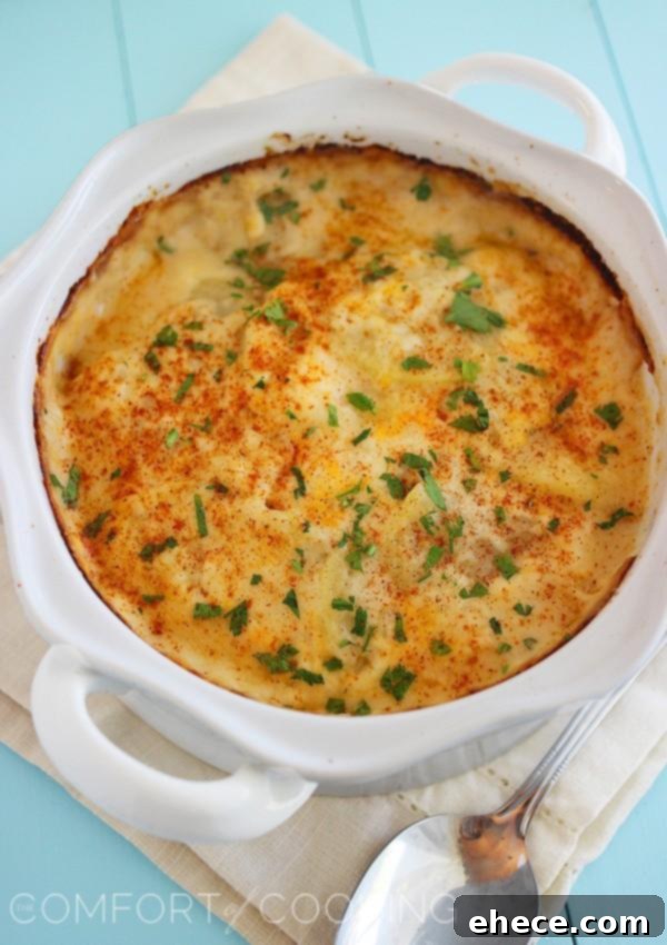 Cheesy Scalloped Potato Gratin – Creamy, buttery scalloped potatoes are the true definition of comfort food. Perfect for weeknights or holiday feasts! | thecomfortofcooking.com