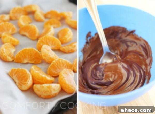 Sea Salted Dark Chocolate Clementine Delights 3 Close-up of a hand dipping a clementine segment into melted dark chocolate, showcasing the dipping process.