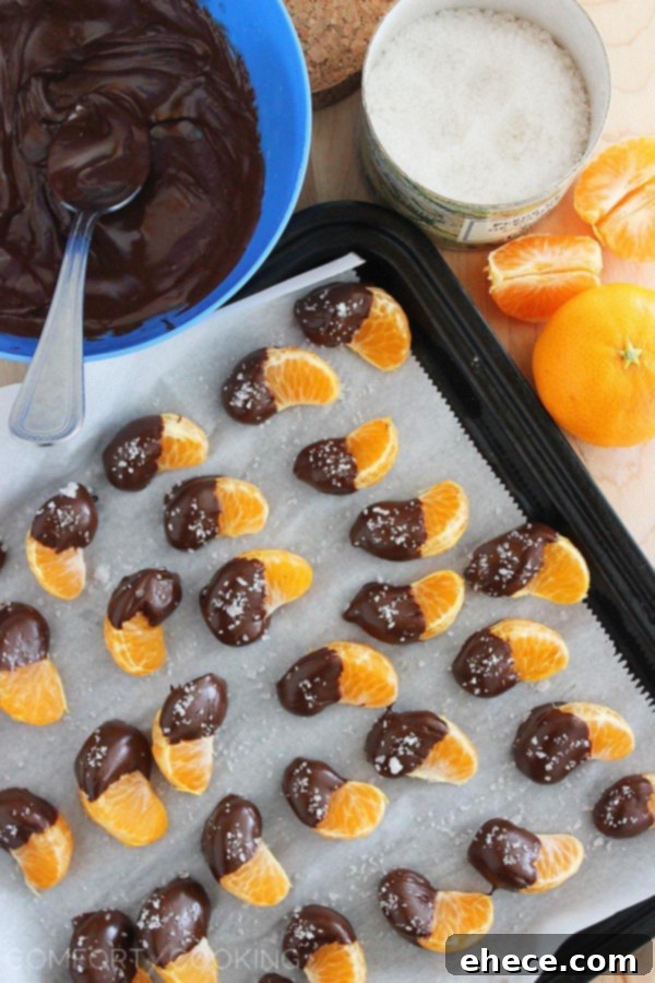 Sea Salted Dark Chocolate Clementine Delights 4 Artfully arranged chocolate-dipped clementine segments with visible sea salt flakes, ready to be enjoyed.