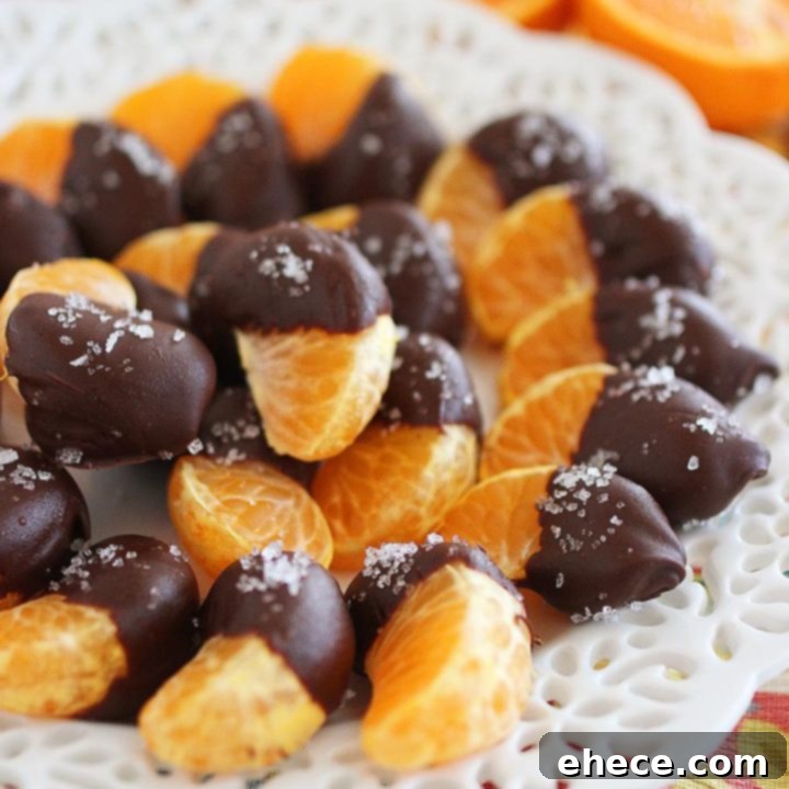 Sea Salted Dark Chocolate Clementine Delights 6 Chocolate Dipped Clementines with Sea Salt recipe image
