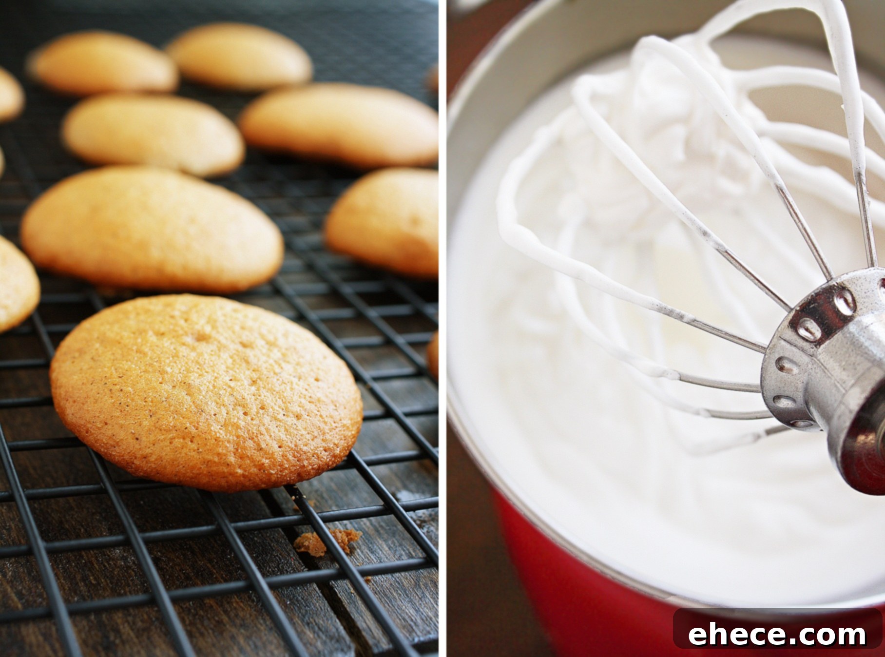 Spiced Gingerbread Whoopie Pies 3 A close-up view of two Gingerbread Whoopie Pies, one with a dusting of powdered sugar